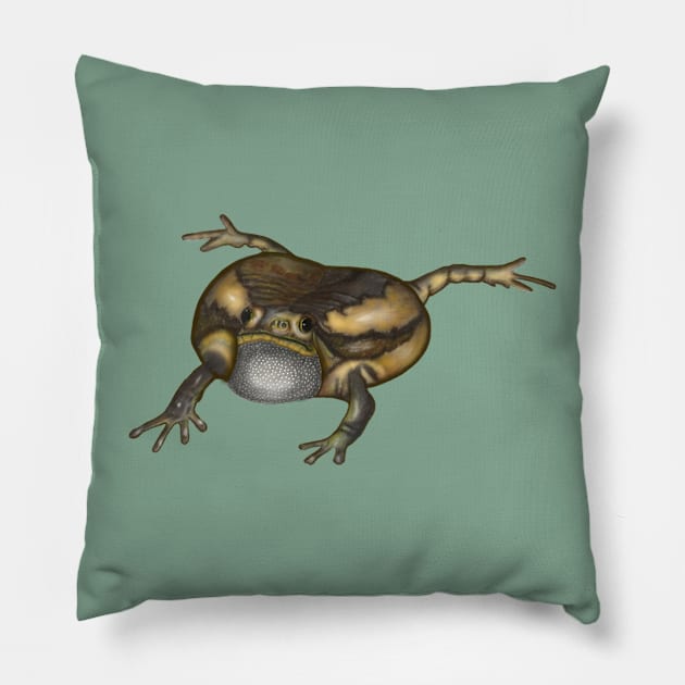 Banded Bullfrog Drawing Pillow by ArtAndBliss