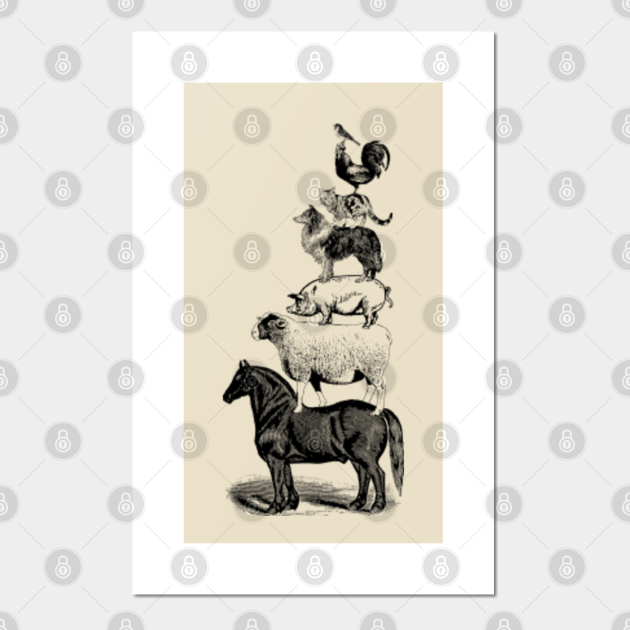 Farm Animals Design, Animal Pyramid of Horse, Sheep, Pig, Collie, Cat, Rooster, Bird, Vintage Animals, Love Vintage Animal Art - Farm Animals Design - Posters and Art Prints | TeePublic Farm Animals Design, Animal Pyramid of Horse, Sheep, Pig, Collie, Cat, Rooster, Bird, Vintage Animals, Love Vintage Animal Art - Farm Animals Design - Posters and Art Prints | TeePublic