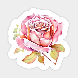 Elegant Pink Aquarelle Watercolor Isolated Rose Flower Painting Magnet