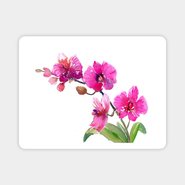 Pink Orchid flowers Magnet by surenart
