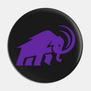 Amherst Mammoths! Pin