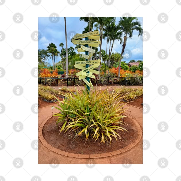 Dole Plantation Hawaii by RaduRd