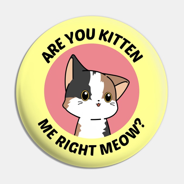 Are You Kitten Me Right Meow - Cute Cat Pun Pin by Allthingspunny