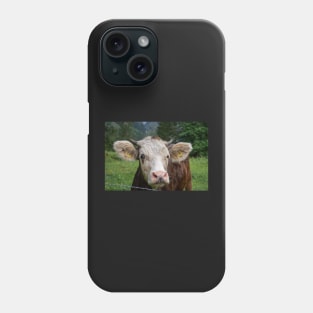 Swiss Cow 4 Phone Case