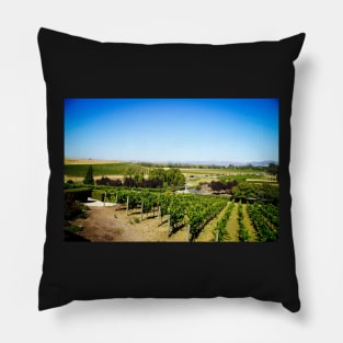 Domaine Carneros Napa Valley Pillow