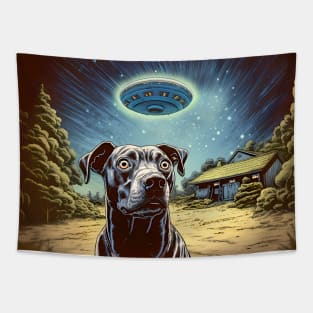 UFOs 2: My Dog Thinks UFOs Are Real Tapestry