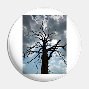 Tree Silhouette Pin