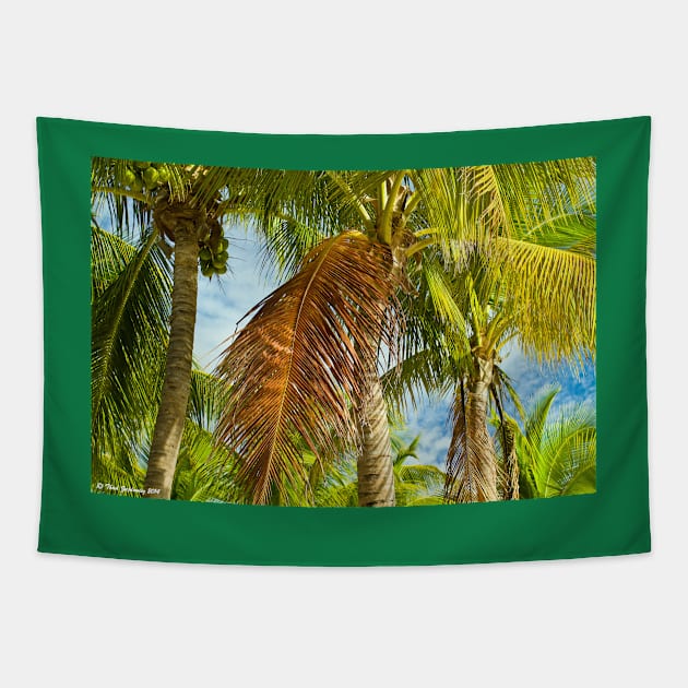 Coconut palms Tapestry by thadz