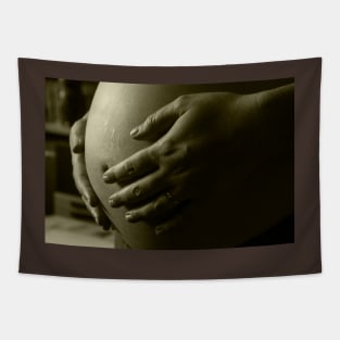 Pregnant Tapestry