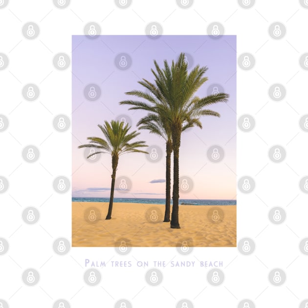 Serene Beachside Palms by POD24