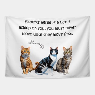 Experts agree if a cat is asleep on you, you must never move until they move first - funny watercolour cat design Tapestry