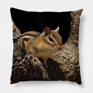 Chipmunk Pillow