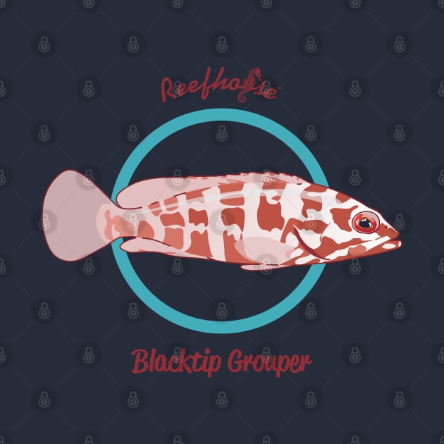 Blacktip Grouper by Reefhorse