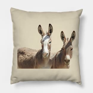 Wildlife, wild burros, Oatman, Arizona Pillow