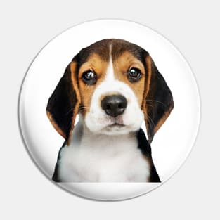 Adorable Beagle, Beagle Dog, Beagle, Gift For Beagle Lovers, Beagle Lover, Beagle Dog Lover, Beagle Mom, Beagle Dad, Beagle Dog Gift, Beagle Puppy, Gifts For Beagle Lovers, Beagle Lover Gift, Beagle Lovers Pin