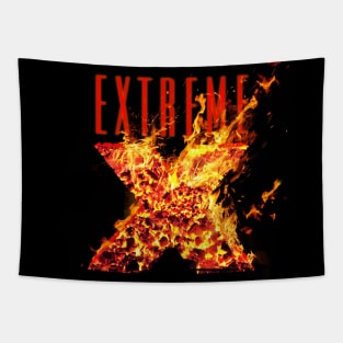 Extreme Tapestry