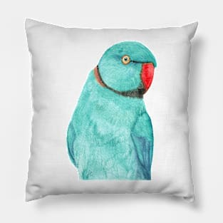 Blue Rose-ringed parakeet or ring-necked parrots watercolor - bird painting Pillow