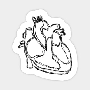  Anatomy Heart Medicine Magnet