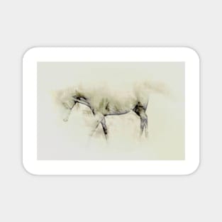 Walking horse study Magnet