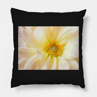 Yellow Dahlia Pillow