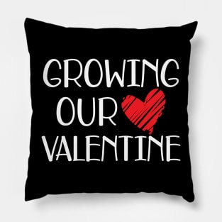 Valentine - Grow our valentine w Pillow