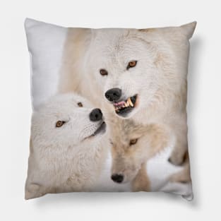 Arctic Wolves Pillow