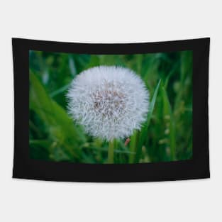 Dandelion Tapestry