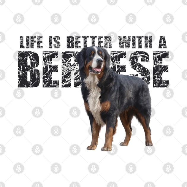 Bernese mountain dog by Bernesemountaindogstuff