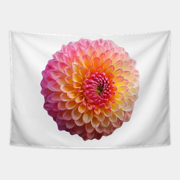 Beautiful Dahlia flower Graphic Art Print Tapestry by Cre8ily