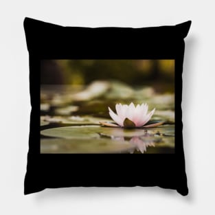 Meditation Wall Art Print - Water Lily Meditation - canvas, Photo print, artboard print, poster Canvas Print Pillow