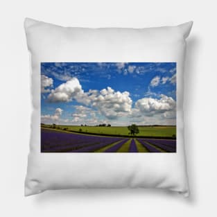 Lavender Field Purple Flowers Cotswolds England Pillow