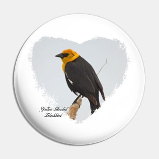 Yellow Headed Blackbird Pin