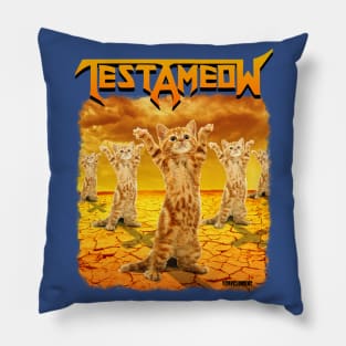 Testameow Pillow