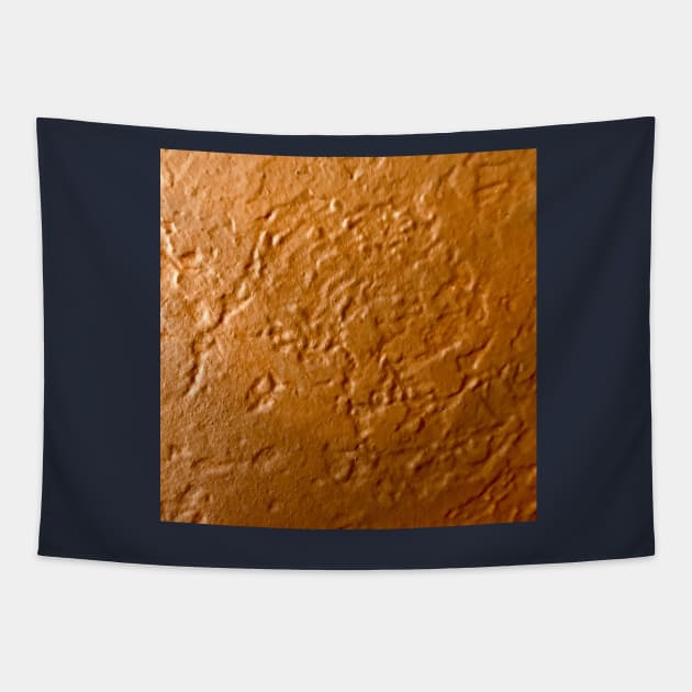 Pumpkin Pie, dark orange textured painting Tapestry by djrunnels