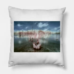 Manasquan Reservoir Infrared Color Pillow