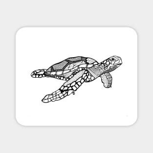 Turtle Turtle. Magnet