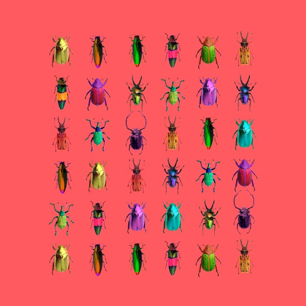 Bugs by OHH Baby