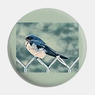 Swallow-NC Pin