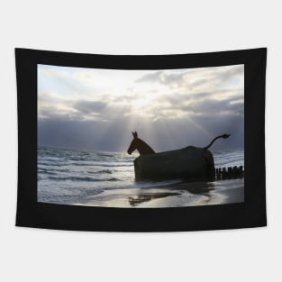 Blavandshuk evening mood Tapestry