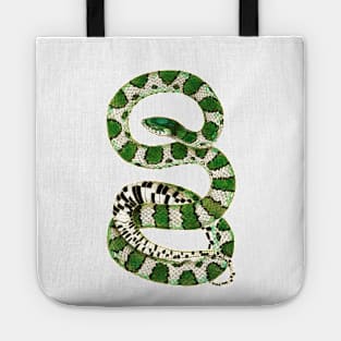 serpent,cobra,reptile,viper,venom,lizard,rattlesnake,king cobra,dragon,hydra,poison,venomous,plumber's snake,pythonidae,pythons,auger,python,squamata,serpentine,worm,big,ophidian,rattlesnakes,medusa,snakebite Tote