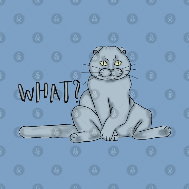 Funny scottish fold cat asks - what? by KateQR