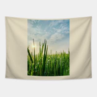 Little Grass Tapestry