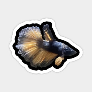 Bumblebee Betta Fish Magnet