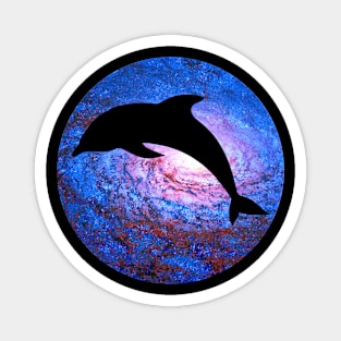 Galactic Dolphin Magnet