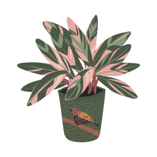 Stromanthe Houseplant T-Shirt