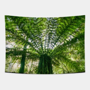 Tree Fern Tapestry