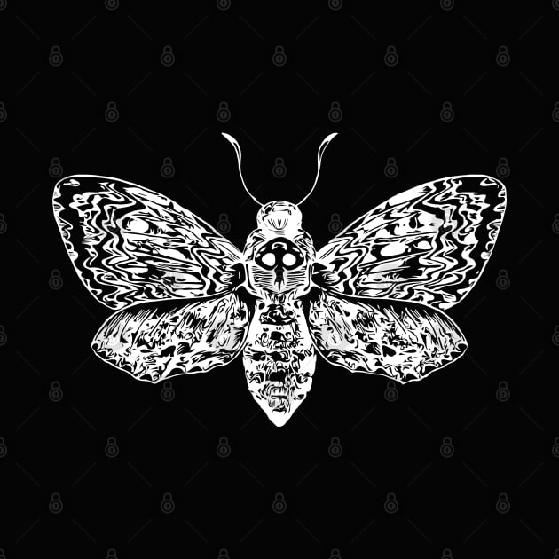 Dead head moth by Sitenkova