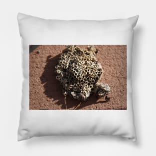 Wasp Nest Pillow