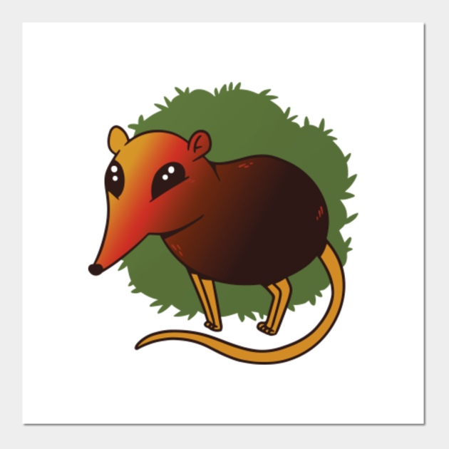 Elephant shrew - Elephant Shrew - Posters and Art Prints | TeePublic Elephant shrew - Elephant Shrew - Posters and Art Prints | TeePublic