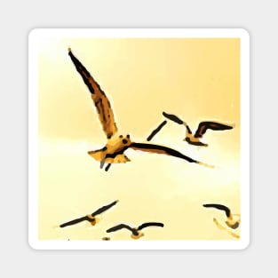 Birds flying in the sky, 2, bird, birds, seagull, seagulls, swan, waterfowl, swan, sky, freedom, summer, spring, nature, Magnet